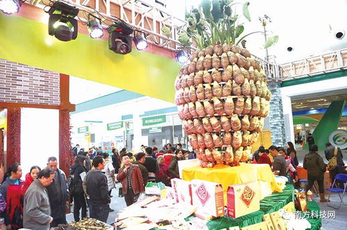 绿色生态成果绽放 三千种名特优农产品与家电销售深度融合