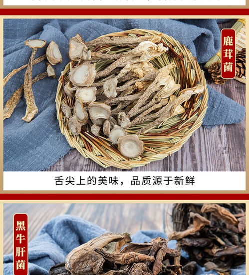 鲜山叔·臻选菌菇礼盒 品味山珍，礼赠健康，开启现代厨房新“食”尚