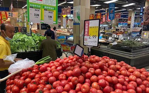 合肥市市场监管局开展“五一”期间商品零售场所与食用农产品零售点塑料购物袋销售行为专项检查